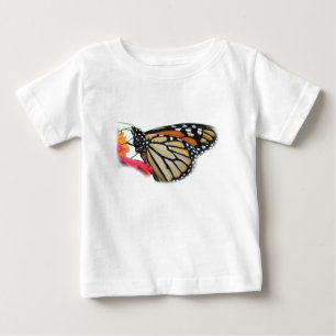 Monarch Butterfly Afbeelding