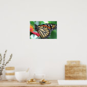Monarch Butterfly Afbeelding Poster (Keuken)