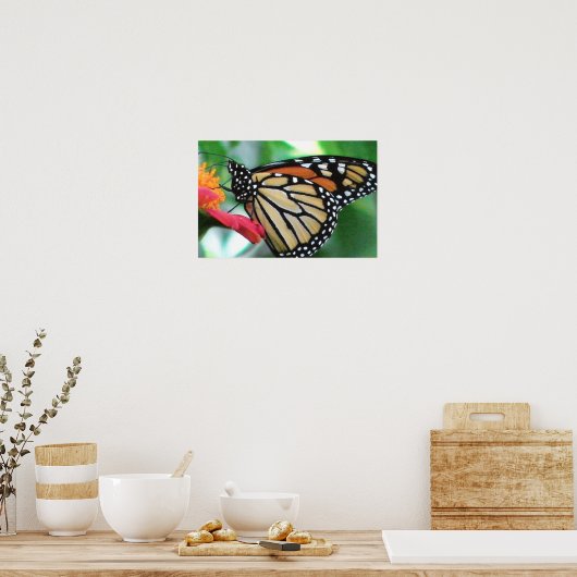 Monarch Butterfly Afbeelding Poster (Keuken)