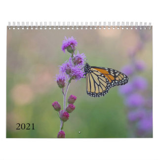 Monarch Butterfly Agenda Kalender