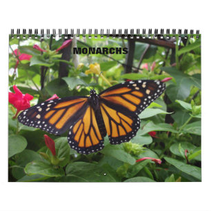 Monarch Butterfly Agenda Kalender