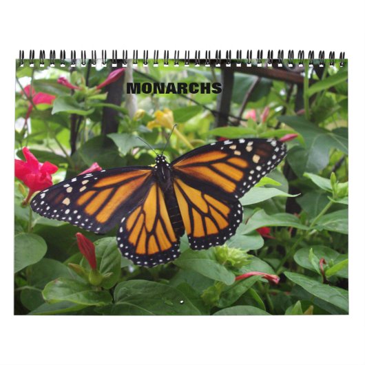 Monarch Butterfly Agenda Kalender (Hoes)
