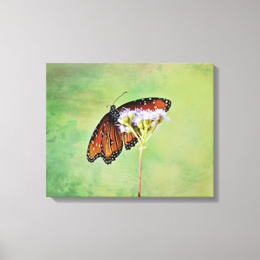 Monarch Butterfly and Flowers Canvas Art Print (Voorkant)