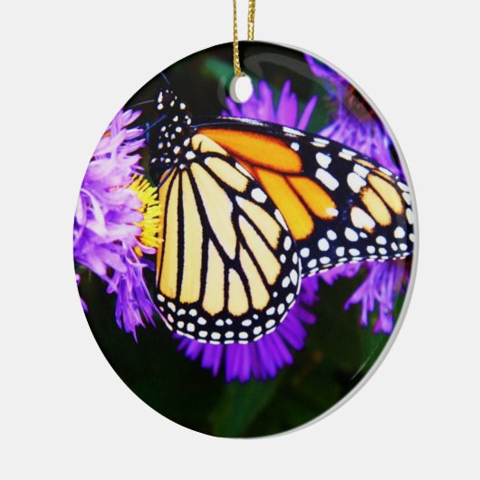 Monarch Butterfly, Aster Ornament (Links)