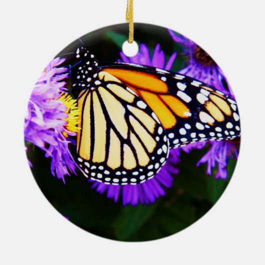 Monarch Butterfly, Aster Ornament (Achterkant)