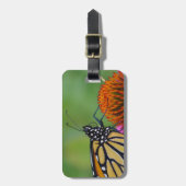 Monarch Butterfly Bagagelabel (Voorkant verticaal)