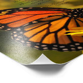 Monarch Butterfly "Bedankt moeder" Foto afdrukken (Hoek)