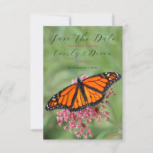 Monarch Butterfly bewaart de datum Save The Date (Voorkant)