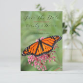 Monarch Butterfly bewaart de datum Save The Date (Staand voorkant)