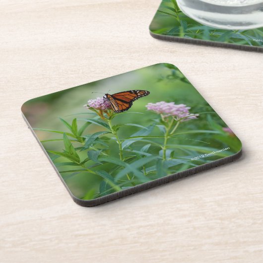 Monarch Butterfly Bier Onderzetter (Linkerzijde)