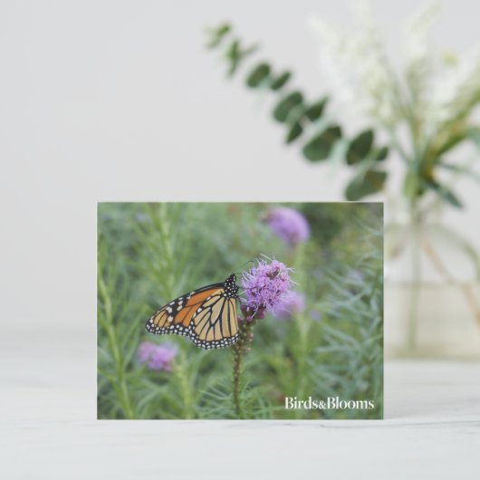 Monarch Butterfly Briefkaart (Staand voorkant)