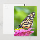 Monarch Butterfly Briefkaart (Voorkant / Achterkant)