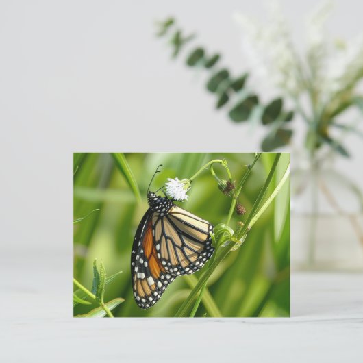 Monarch Butterfly - briefkaart (Staand voorkant)