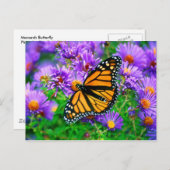 Monarch Butterfly Briefkaart (Voorkant / Achterkant)