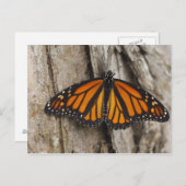 Monarch Butterfly Briefkaart (Voorkant / Achterkant)