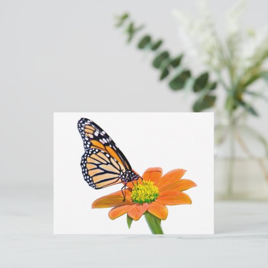 Monarch Butterfly Briefkaart (Staand voorkant)