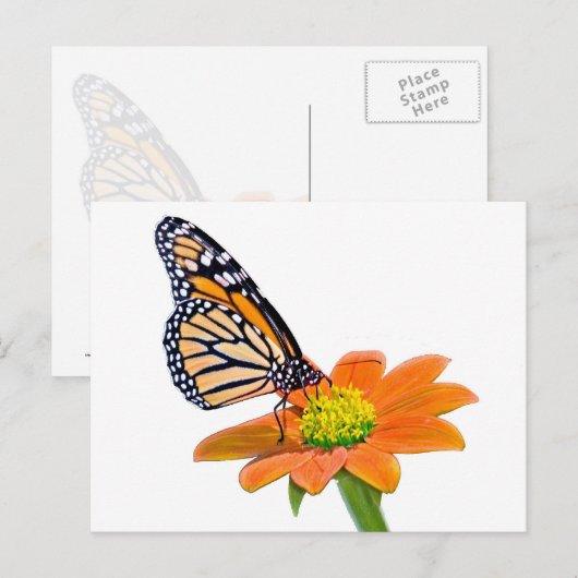 Monarch Butterfly Briefkaart (Voorkant / Achterkant)