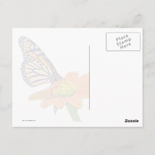 Monarch Butterfly Briefkaart (Achterkant)