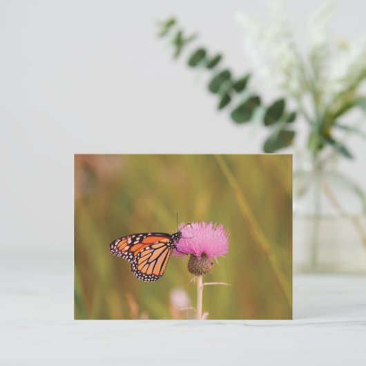 Monarch Butterfly Briefkaart (Staand voorkant)