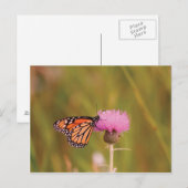 Monarch Butterfly Briefkaart (Voorkant / Achterkant)