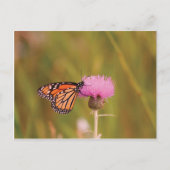 Monarch Butterfly Briefkaart (Voorkant)