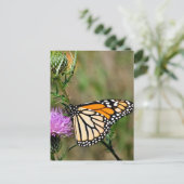Monarch Butterfly Briefkaart (Staand voorkant)