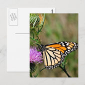 Monarch Butterfly Briefkaart (Voorkant / Achterkant)