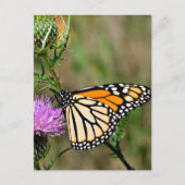 Monarch Butterfly Briefkaart (Voorkant)