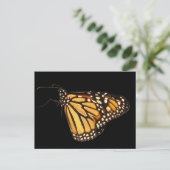 Monarch Butterfly Briefkaart (Staand voorkant)