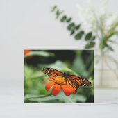 Monarch Butterfly Briefkaart (Staand voorkant)