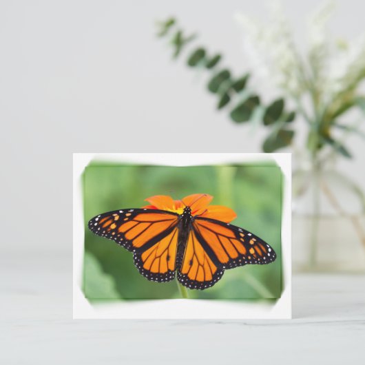 Monarch Butterfly Briefkaart (Staand voorkant)