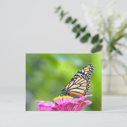 Monarch Butterfly Briefkaart (Staand voorkant)