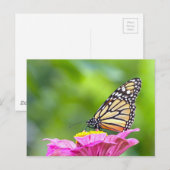 Monarch Butterfly Briefkaart (Voorkant / Achterkant)