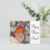 Monarch Butterfly Briefkaart (Staand voorkant)