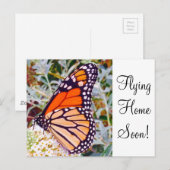 Monarch Butterfly Briefkaart (Voorkant / Achterkant)