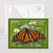 Monarch Butterfly Briefkaart (Voorkant / Achterkant)