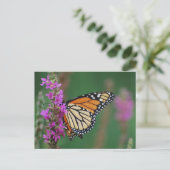 Monarch Butterfly Briefkaart (Staand voorkant)