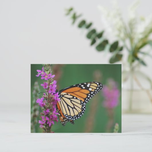 Monarch Butterfly Briefkaart (Staand voorkant)
