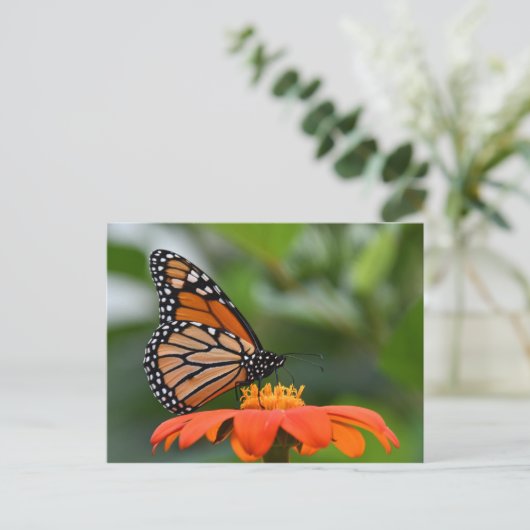 Monarch Butterfly Briefkaart (Staand voorkant)