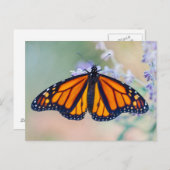 Monarch Butterfly Briefkaart (Voorkant / Achterkant)
