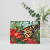 Monarch Butterfly Briefkaart (Staand voorkant)
