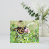 Monarch Butterfly Briefkaart (Staand voorkant)