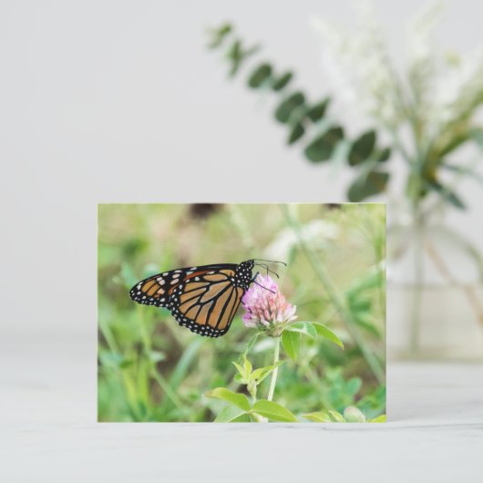 Monarch Butterfly Briefkaart (Staand voorkant)