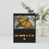 Monarch Butterfly Briefkaart (Staand voorkant)