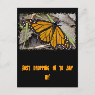 Monarch Butterfly Briefkaart
