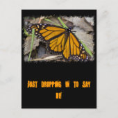 Monarch Butterfly Briefkaart (Voorkant)