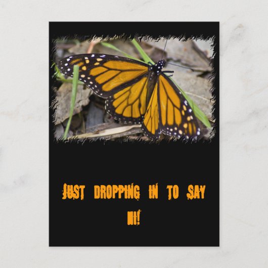 Monarch Butterfly Briefkaart (Voorkant)