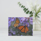 Monarch Butterfly Briefkaart (Staand voorkant)