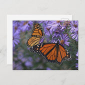 Monarch Butterfly Briefkaart (Voorkant / Achterkant)