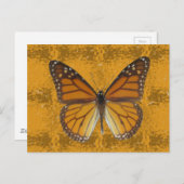 Monarch Butterfly Briefkaart (Voorkant / Achterkant)